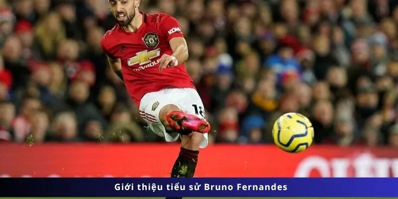Tiểu Sử Bruno Fernandes 2 Giới thiệu tiểu sử Bruno Fernandes