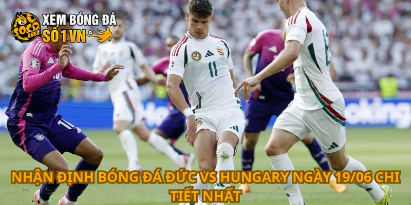 Nhận Định Bóng Đá Đức Vs Hungary Ngày 19/06 2 Nhận định bóng đá Đức vs Hungary ngày 19/06 chi tiết nhất