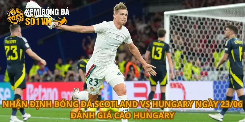 Nhận Định Bóng Đá Scotland Vs Hungary Ngày 23/06 3 Nhận định bóng đá Scotland vs Hungary ngày 23/06 đánh giá cao Hungary